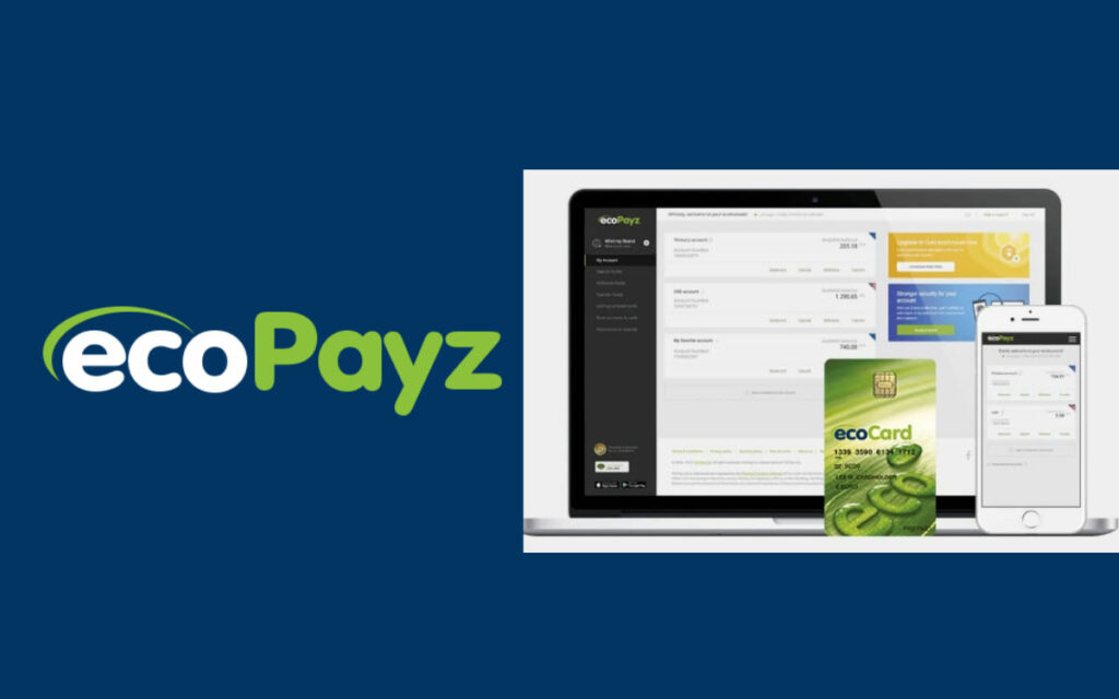 Ecopayz is an ideal option